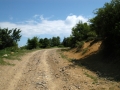 m13Beljakovce 050208 3011 m13Beljakovce 050208 3011