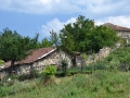 m27Staravina 2014-06-29 044
